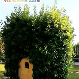 Oasi Bed & Breakfast